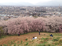 150329s06.jpg 150329s06.jpg