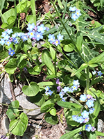 150525f04.jpg 150525f04.jpg