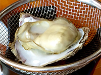 150620a03.jpg 150620a03.jpg