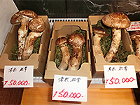 151004K04.jpg 151004K04.jpg