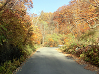 151021k02.jpg 151021k02.jpg