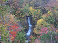 151021k08.jpg 151021k08.jpg