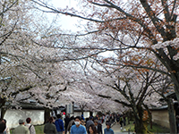 160406k01.jpg 160406k01.jpg