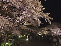 160406k02.jpg 160406k02.jpg