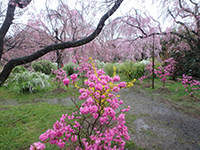 160406k03.jpg 160406k03.jpg