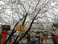 160406k04.jpg 160406k04.jpg