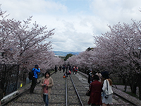 160406k08.jpg 160406k08.jpg