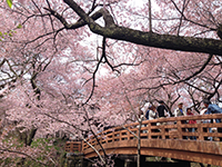160414ko01.jpg 160414ko01.jpg