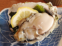 160614k04.jpg 160614k04.jpg