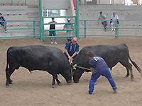 160614k07.jpg 160614k07.jpg