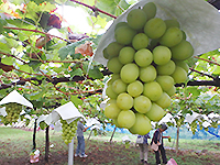 160908ko04.jpg 160908ko04.jpg