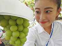 160908ko05.jpg 160908ko05.jpg