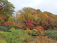 161011k03.jpg 161011k03.jpg