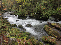 161011k10.jpg 161011k10.jpg
