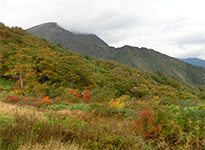 161013n02.jpg 161013n02.jpg
