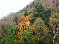 161015ko03.jpg 161015ko03.jpg
