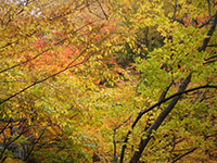 161025a03.jpg 161025a03.jpg