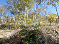 161027k03.jpg 161027k03.jpg