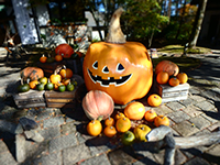 161027k06.jpg 161027k06.jpg
