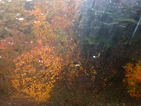 161028ko04.jpg 161028ko04.jpg