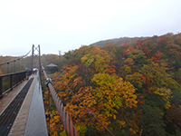 161028ko05.jpg 161028ko05.jpg