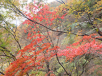 161102ya03.jpg 161102ya03.jpg