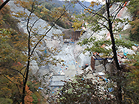 161102ya05.jpg 161102ya05.jpg