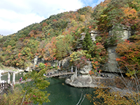 161103ko04.jpg 161103ko04.jpg