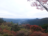 161110ko02.jpg 161110ko02.jpg