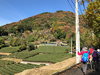 161120ko01.jpg 161120ko01.jpg
