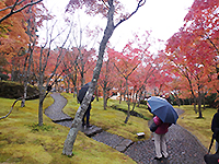 161121k01.jpg 161121k01.jpg