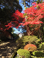 161122fu01.jpg 161122fu01.jpg