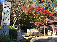 161122fu06.jpg 161122fu06.jpg