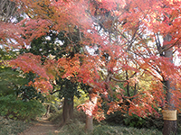 161130ko02.jpg 161130ko02.jpg