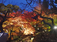 161201b04.jpg 161201b04.jpg