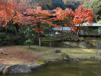 161205n02.jpg 161205n02.jpg