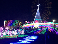 161220fu06.jpg 161220fu06.jpg