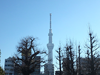 170113ko04.jpg 170113ko04.jpg