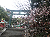170119ko04.jpg 170119ko04.jpg