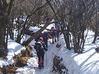 170124k03.jpg 170124k03.jpg