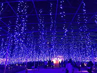 170124ko06.jpg 170124ko06.jpg