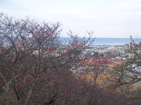 201102K_4.jpg 201102K_4.jpg