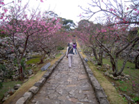 201102K_5.jpg 201102K_5.jpg