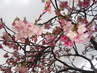 201102K_6.jpg 201102K_6.jpg