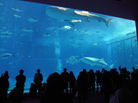 201102K_7.jpg 201102K_7.jpg