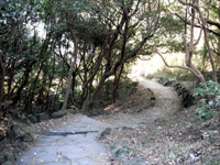 201102sa1.jpg