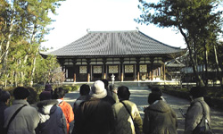 20110315o4.jpg 20110315o4.jpg