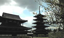 20110315o7.jpg 20110315o7.jpg