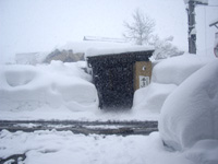 201103o1.jpg