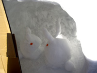 201103o3.jpg
